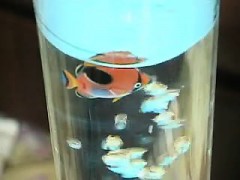 Минет Жесткое порно Групповуха Фут фетиш фото 11